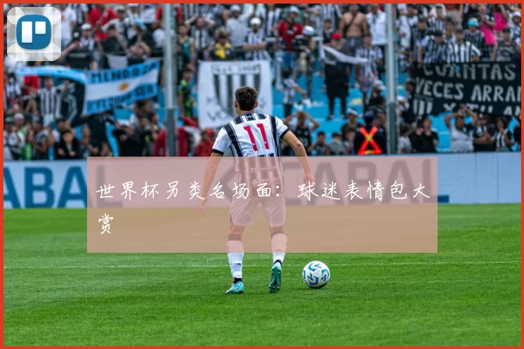 世界杯另类名场面:球迷表情包大赏