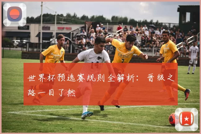 世界杯预选赛规则全解析：晋级之路一目了然
