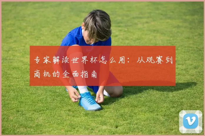 专家解读世界杯怎么用：从观赛到商机的全面指南