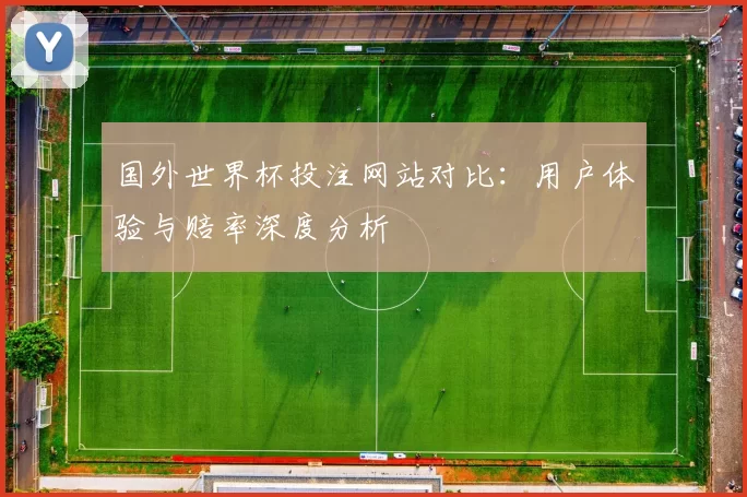 国外世界杯投注网站对比：用户体验与赔率深度分析
