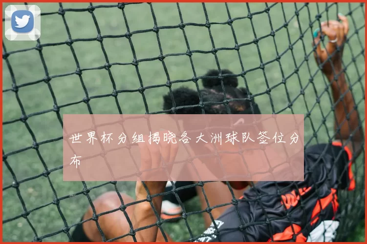 世界杯分组揭晓各大洲球队签位分布