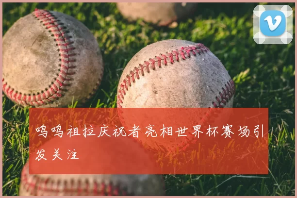 呜呜祖拉庆祝者亮相世界杯赛场引发关注