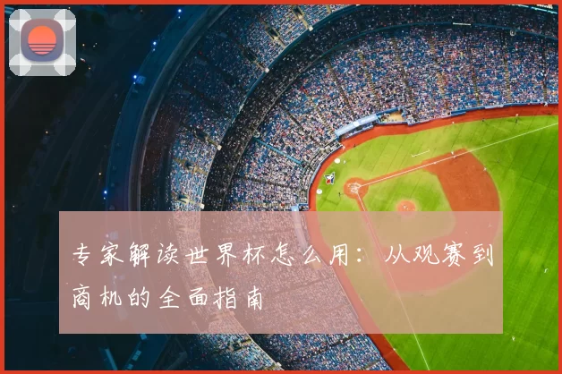 专家解读世界杯怎么用：从观赛到商机的全面指南