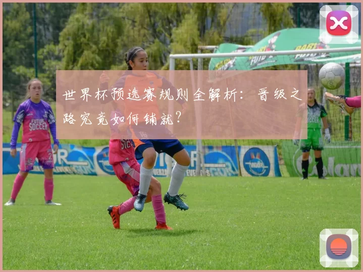 世界杯预选赛规则全解析：晋级之路究竟如何铺就？
