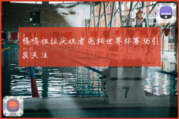呜呜祖拉庆祝者亮相世界杯赛场引发关注