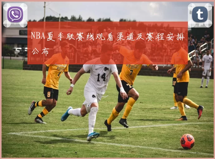 NBA夏季联赛线观看渠道及赛程安排公布