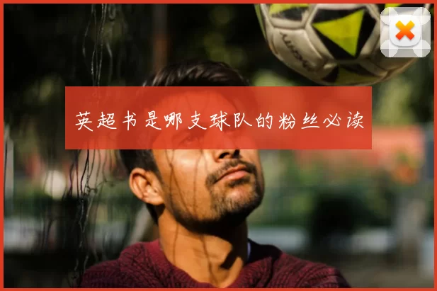 英超书是哪支球队的粉丝必读