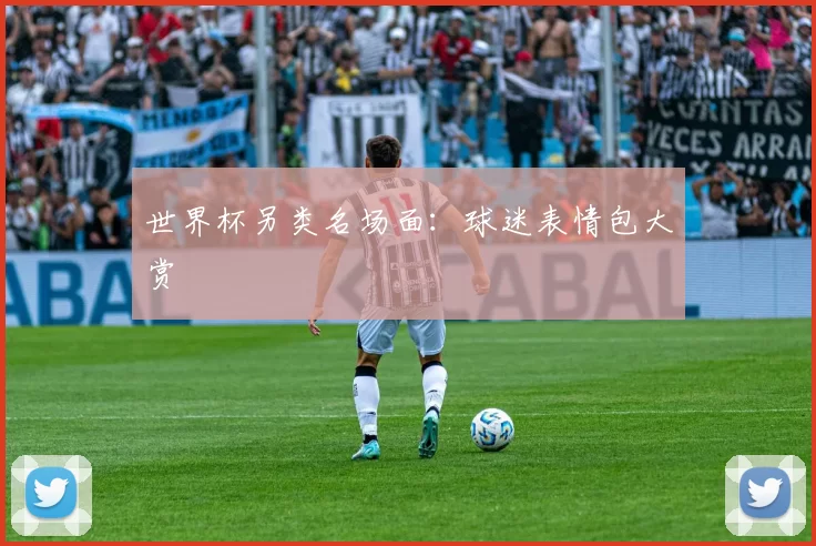 世界杯另类名场面:球迷表情包大赏