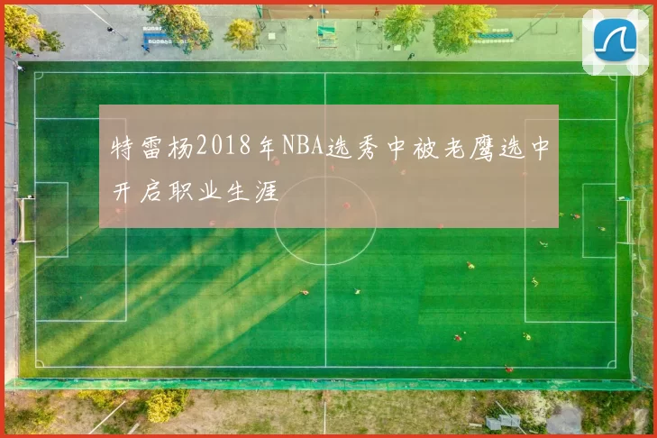 特雷杨2018年NBA选秀中被老鹰选中开启职业生涯