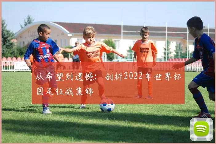从希望到遗憾:剖析2022年世界杯国足征战集锦