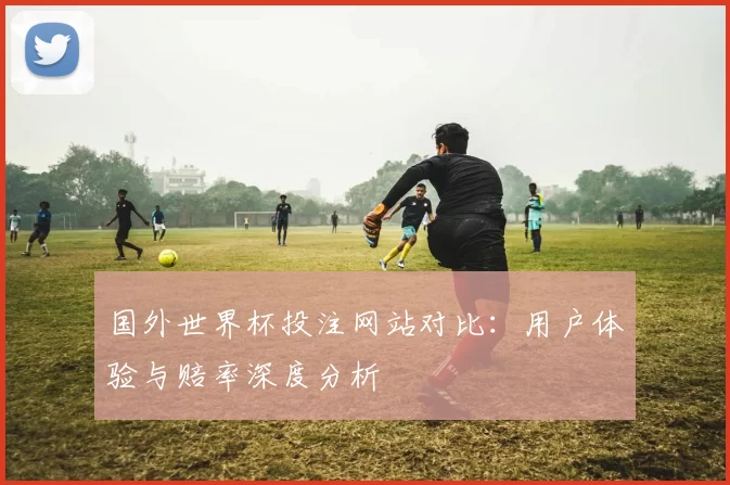 国外世界杯投注网站对比：用户体验与赔率深度分析