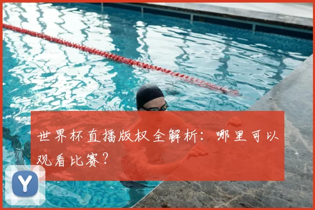 世界杯直播版权全解析：哪里可以观看比赛？
