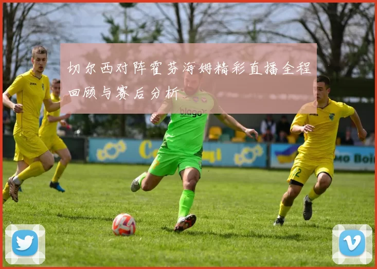 切尔西对阵霍芬海姆精彩直播全程回顾与赛后分析